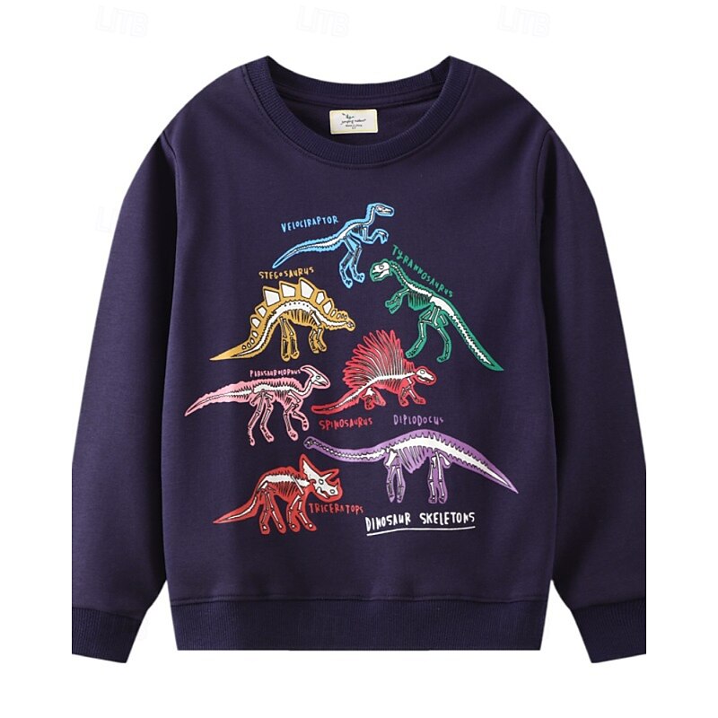 Kids Boys' Sweatshirt Cartoon Long Sleeve Crewneck Fall Winter Daily Basic Cotton Outdoor Casual