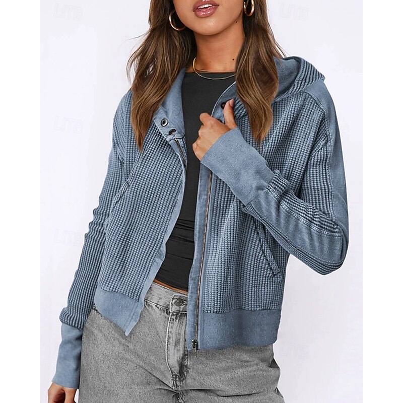 Women's Casual Jacket Hoodie Jacket Warm Comfortable Zipper Pocket Fashion Outdoor Plain Going out Weekend Zipper Regular Hooded Regular Fit Long Sleeve Outerwear Black Pink Blue Fall Winter2