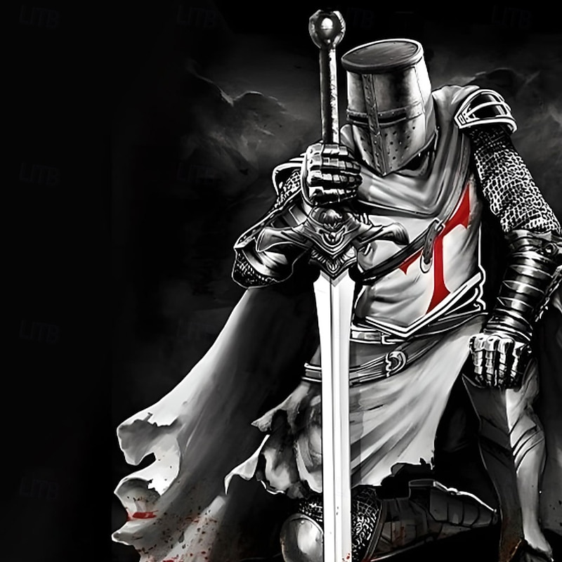 Men's Knights Templar Sweatshirt Casual Long Sleeve Stand Collar Party Club Red Blue 3D Print Quarter Zip Fall Winter Designer2