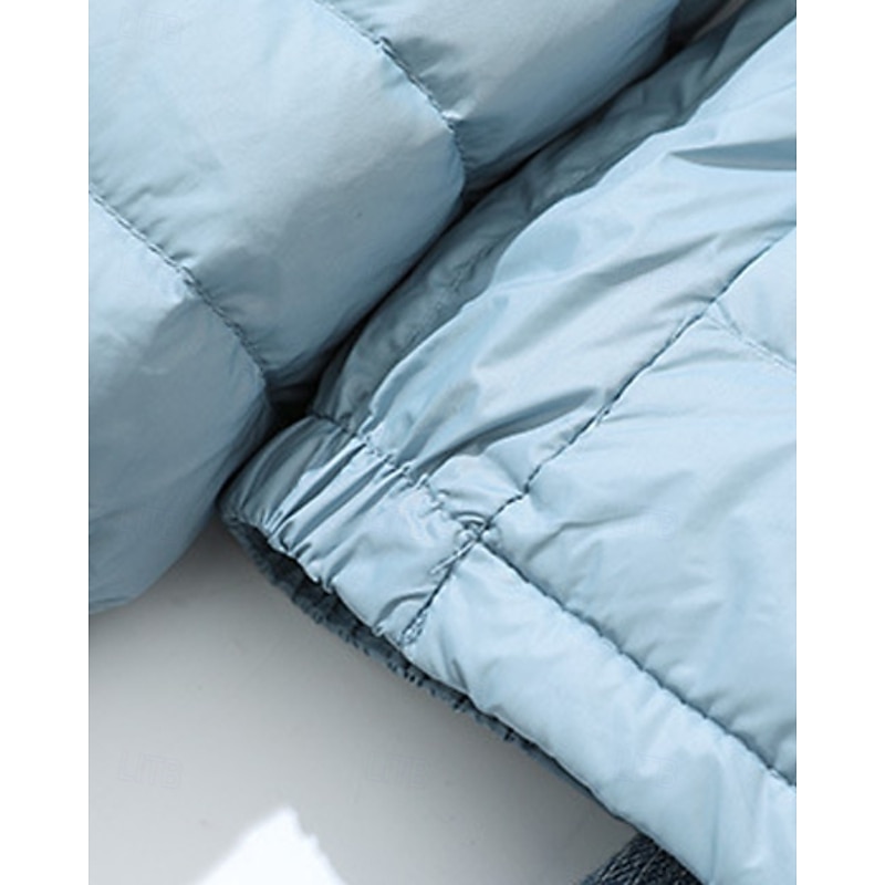 Women's Down Jacket Warm Comfortable Zipper Pocket Fashion Plain Going out Weekend Zipper Regular Hooded Regular Fit Long Sleeve Outerwear Yellow Pink Red Fall Winter3