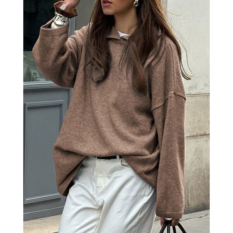 Women's Pullover Hoodie Sweatshirt Plain Streetwear Casual Long Sleeve Hooded Regular Tops Holiday Going out Black Wine Coffee Gray Fall Winter4