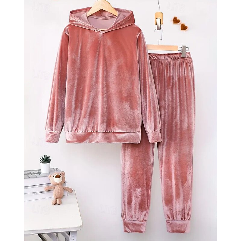 Women's Active Streetwear Blouse Hoodie Pants Sets Long Sleeve Hooded Solid Color Ruched Vacation Daily Wear Pink Wine Blue Fall Regular Fit