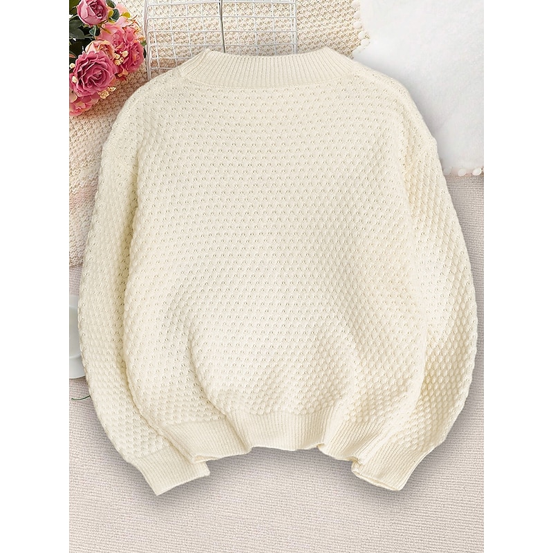 Women's Pullover Elegant Vintage Cute Solid Color Chunky Crew Neck Knitted Long Sleeve Regular Tops Knit School Formal Outdoor Pink Blue Spring Fall4