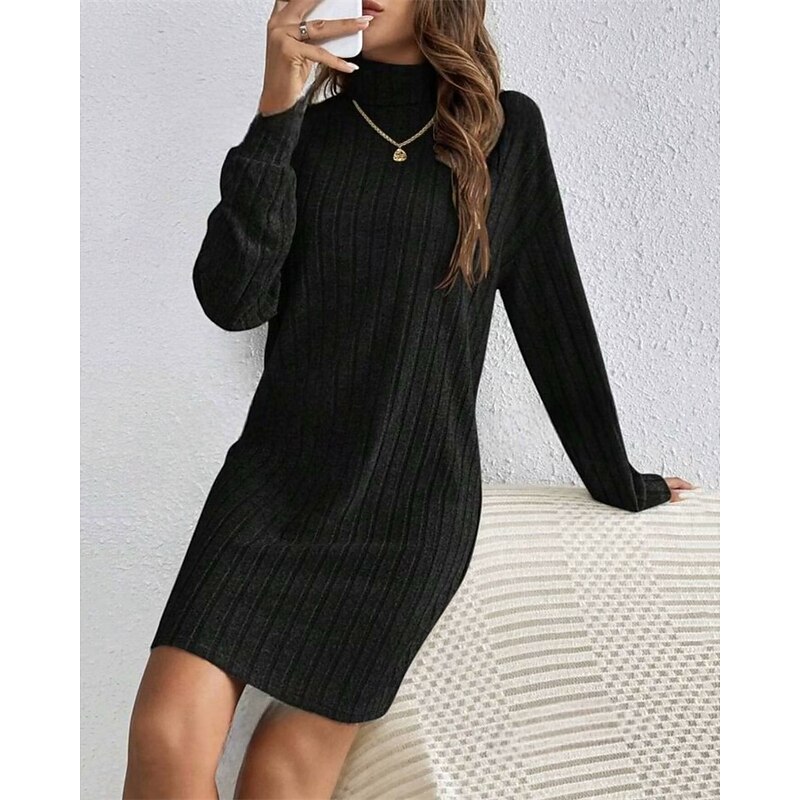 Women's Mini Dress Sweater Dress Casual Dress Fashion Modern Daily Date Weekend Regular Fit Plain Long Sleeve High Neck Black Wine Light Grey Apricot Fall Winter3