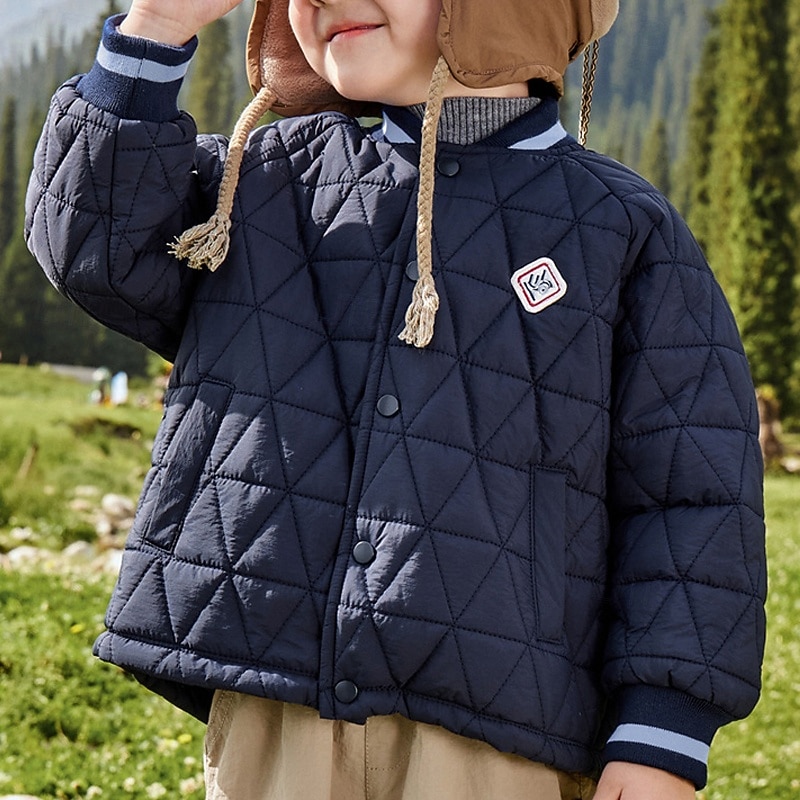 Kids Unisex Down Jacket Puffer Jacket Outerwear Solid Color Long Sleeve Pocket Lightweight Comfort Buttons Keep Warm Coat Outdoor Daily Basic Blue Spring Fall 4 years+4