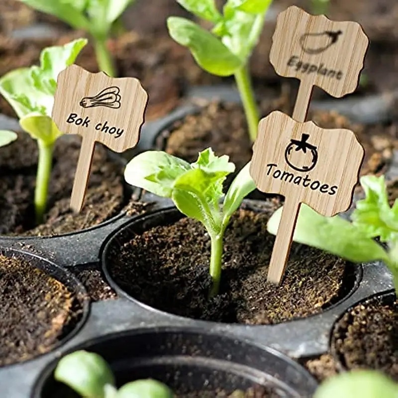 50pcs Bamboo Plant Labels with Marker Pen - Recycled Wood Garden Markers Light Brown Weather-Resistant Plant Tags for Flowers Succulents Herbs Indoor & Outdoor2