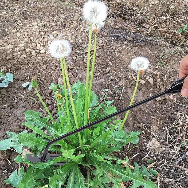 Garden Weed Pulling Tool Uprooting Weeding Tool, 4 Teeth Weed Puller Tool Manganese Steel Garden Weeder Tool for Vegetable Gardening Planting4