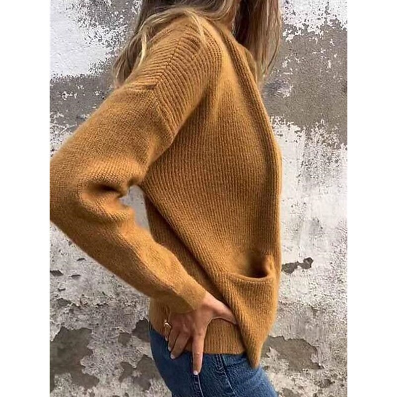 Women's Sweater Cardigan Elegant Fashion Streetwear Pure Color Stand Collar Zipper Knitted Long Sleeve Regular Tops Knit Outdoor Daily Weekend Black Yellow Fall Winter2