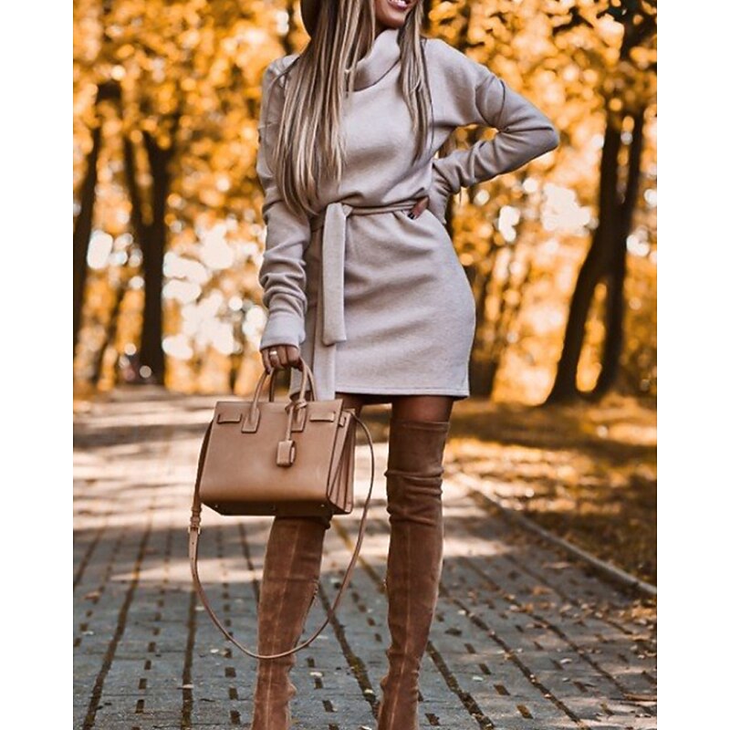 Women's Midi Dress Sweater Dress Sheath Dress Fashion Modern Outdoor Going out Regular Fit Plain Long Sleeve Turtleneck Black Purple Brown Khaki Fall Winter3
