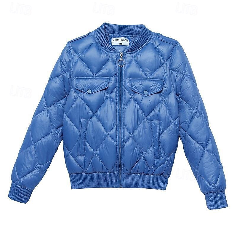 Women's Puffer Jacket Quilted Jacket Casual Jacket Comfortable Breathable Zipper Pocket Casual Plain Vacation Street Casual Daily Wear Zipper Short Stand Collar Regular Fit Long Sleeve Outerwear
