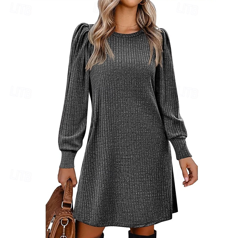 Women's Mini Dress Casual Dress Elegant Fashion Modern Outdoor Daily Going out Regular Fit Plain Long Sleeve Crew Neck Black Pink Red Blue Spring Autumn4