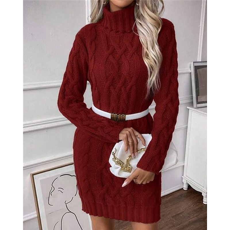 Women's Mini Dress Sweater Dress Knit Dress Casual Dress Elegant Fashion Modern Outdoor Daily Going out Regular Fit Plain Long Sleeve Turtleneck Wine Fall Winter