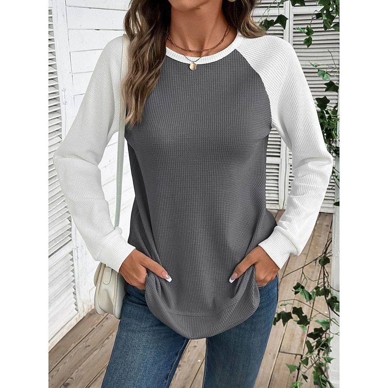 Women's T Shirt Color Block Fashion Stylish Classic Long Sleeve Round Neck Regular Tops Daily Weekend Pink Sky Blue Khaki Gray Spring Fall Winter2