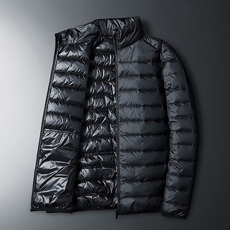 Men's Winter Coat Puffer Jacket Padded Jacket Pocket Polyster Vacation Daily Wear Date Regular Fashion Casual Comfortable Thermal Warm Fall Winter Solid / Plain Color Wine Black Royal Blue Dark Blue4