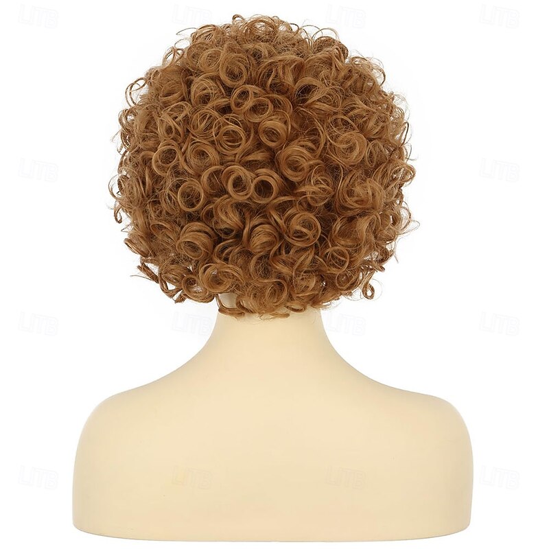 Women's Short Curly Brown Afro Wig 70s 80s Disco Hippie Halloween Cosplay Party Wig4