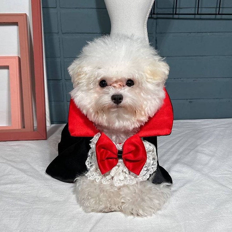 1pc Halloween Pet Cape Costume - Red & Black Vampire Design with Adjustable Straps All-Season Wear for Small/Medium/Large Dogs & Cats for Halloween Parties & Themed Events Halloween Costumes3