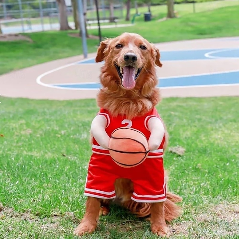 Dog Basketball Costume with Ball Basketball Dog Costume Dog Basketball Player Costume Dog Basketball Halloween Costume Holding Ball Pet Halloween Costumes for Dog Cat3