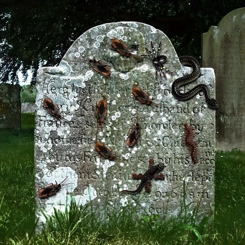 148pcs Realistic Plastic Bugs Set - Scary Fake Spiders Cockroaches Snakes for Halloween & April Fool's Day Decorations4