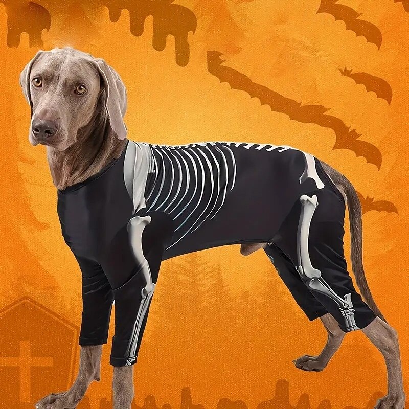 Halloween Dog Costume - Skeleton Outfit with Full Skeleton Graphic Slip-On Pet Costume for Medium Dogs - Durable Polyester Halloween Party Trick-or-Treat Photo Shoot Attire - Easy-Care Machine Washa