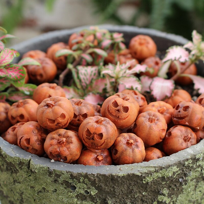 20pcs Resin Miniature Pumpkins Harvest Joy  Creative Simulation Pumpkin Statue Props Home Yard Bonsai Accessories Garden Miniature Sculpture Suitable for Halloween and Thanksgiving Party Decoratio3