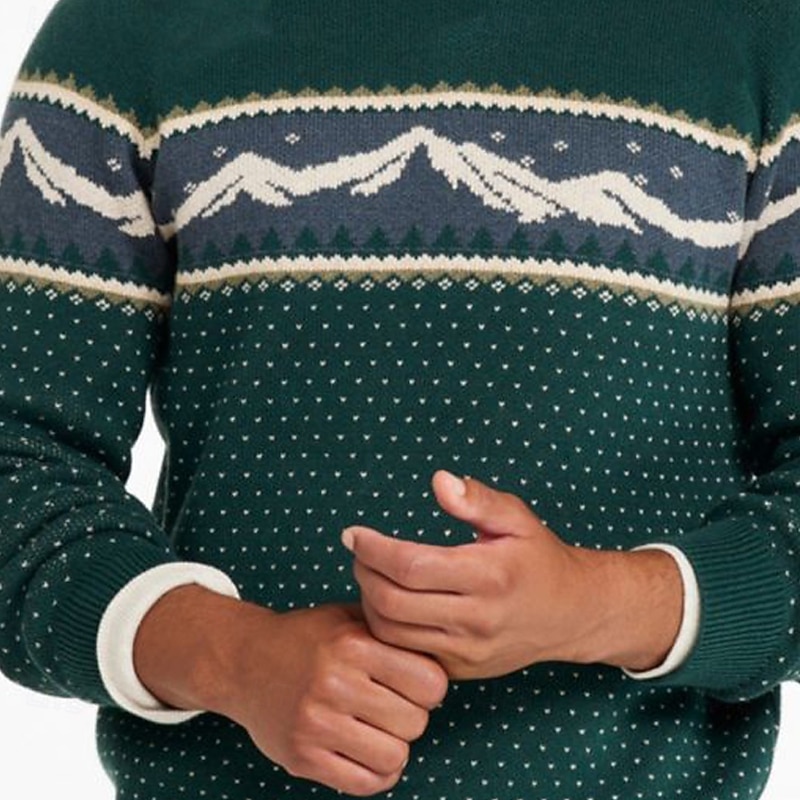 Men's Mountain Fair isle Sweater Pullover Sweater Jumper Knitwear Crewneck Casual Vacation Daily 3D Print Keep Warm Long Sleeve Spring Fall Winter Green2