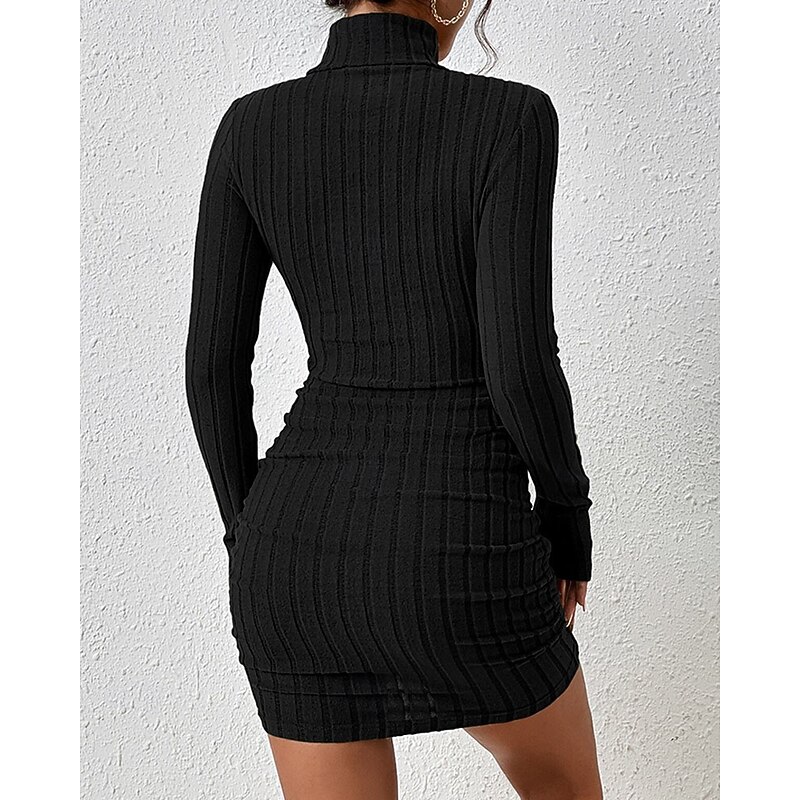 Women's Midi Dress Sweater Dress Bodycon Sheath Dress Fashion Modern Vacation Daily Weekend Regular Fit Plain Long Sleeve Turtleneck Black Wine Spring Fall4