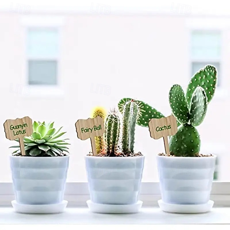 50pcs Bamboo Plant Labels with Marker Pen - Recycled Wood Garden Markers Light Brown Weather-Resistant Plant Tags for Flowers Succulents Herbs Indoor & Outdoor3