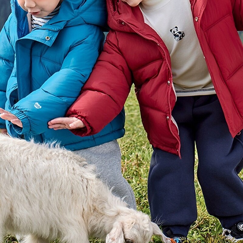 Kids Unisex Down Jacket Puffer Jacket Outerwear Solid Color Long Sleeve Zipper Pocket Lightweight Comfort Keep Warm Coat Outdoor Daily Basic Black Red Blue Fall Winter 4 years+4