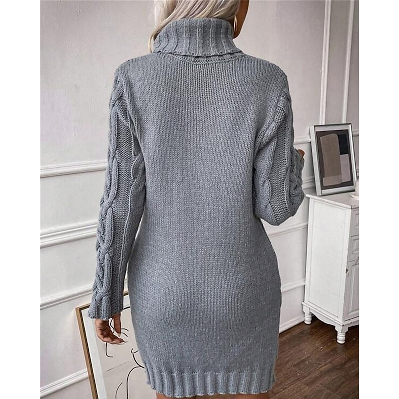 Women's Mini Dress Sweater Dress Knit Dress Casual Dress Elegant Fashion Modern Outdoor Daily Going out Regular Fit Plain Long Sleeve Turtleneck Grey Fall Winter3
