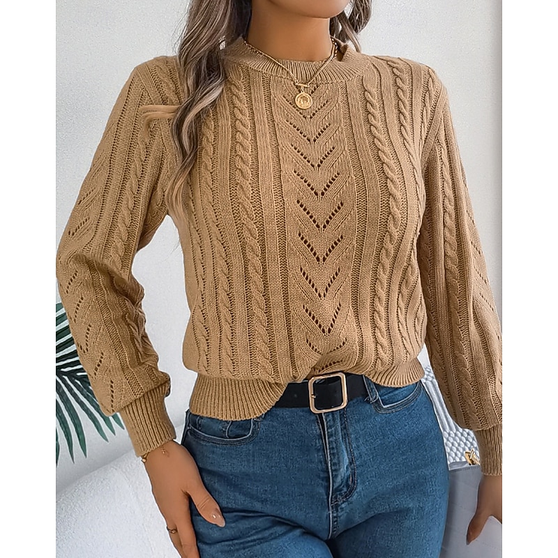 Women's Sweater Pullover Streetwear Casual Pure Color Crew Neck Knitted Long Sleeve Regular Tops Knit Daily Holiday Weekend Orange Khaki Fall Winter2