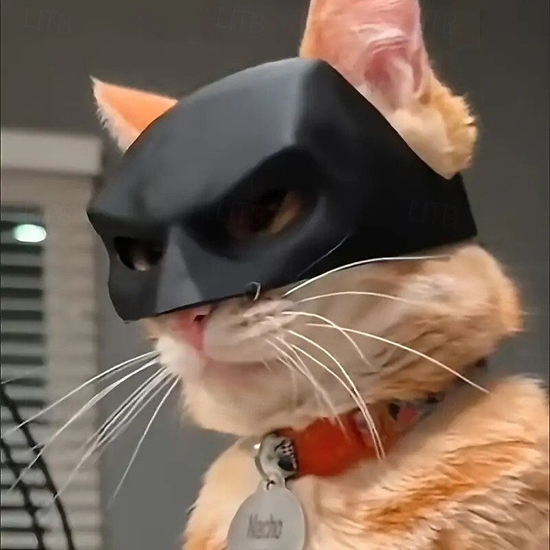 Prank Funny Black Bat Shaped Pet Cat Helmet | with Bungee Cord | Photo Mask4