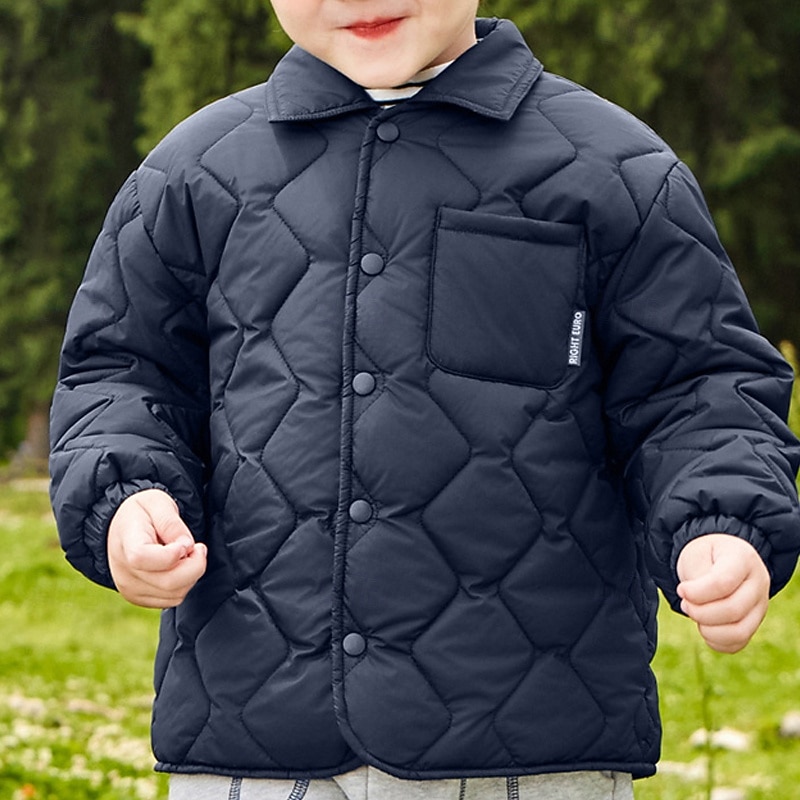 Kids Unisex Down Jacket Puffer Jacket Outerwear Solid Color Long Sleeve Pocket Comfort Buttons Soft Breathable Coat Outdoor Daily Basic Blue Green Fall Winter 4 years+2