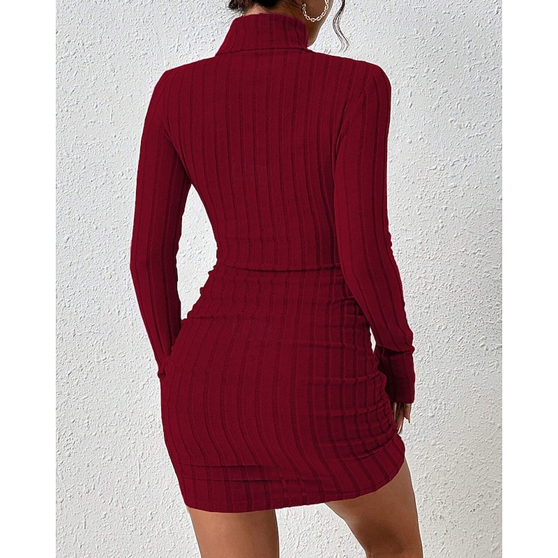 Women's Midi Dress Sweater Dress Bodycon Sheath Dress Fashion Modern Vacation Daily Weekend Regular Fit Plain Long Sleeve Turtleneck Black Wine Spring Fall2