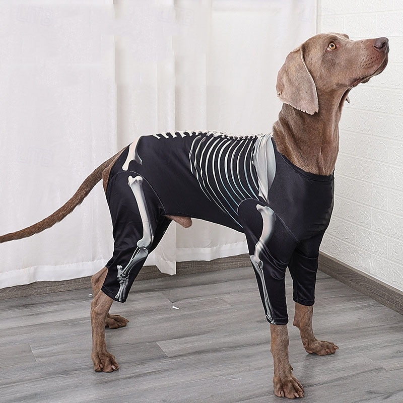 Halloween Dog Costume - Skeleton Outfit with Full Skeleton Graphic Slip-On Pet Costume for Medium Dogs - Durable Polyester Halloween Party Trick-or-Treat Photo Shoot Attire - Easy-Care Machine Washa4