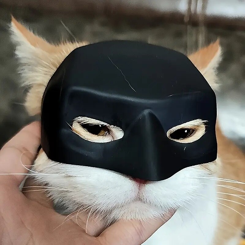 Prank Funny Black Bat Shaped Pet Cat Helmet | with Bungee Cord | Photo Mask3