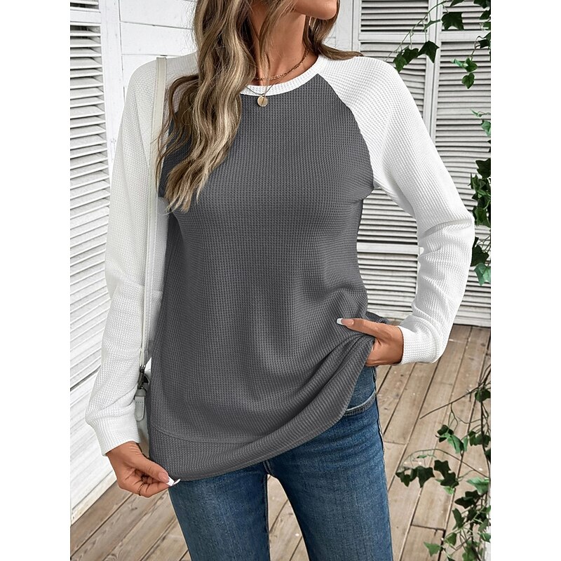 Women's T Shirt Color Block Fashion Stylish Classic Long Sleeve Round Neck Regular Tops Daily Weekend Pink Sky Blue Khaki Gray Spring Fall Winter3