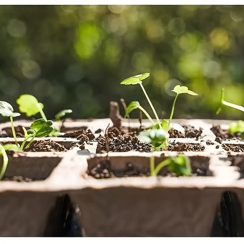 50/100 Pcs Seedling Starter Trays Biodegradable Nursery Pots for Tree Seedlings, Succulents, Cuttings, Microgreens, Orchids – Bulk Plant Germination Cups4