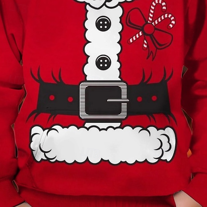 Christmas Boys' 3D Graphic Cartoon Hoodie Long Sleeve Spring Fall Fashion Streetwear Kids 4-12 Years Hooded Outdoor Casual Daily Regular Fit3