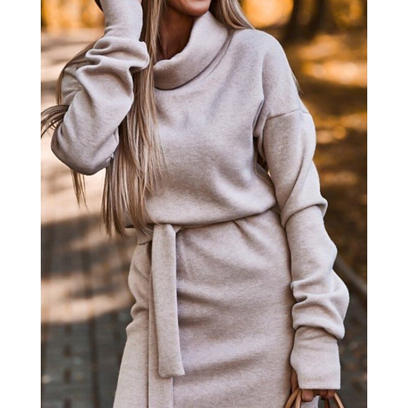 Women's Midi Dress Sweater Dress Sheath Dress Fashion Modern Outdoor Going out Regular Fit Plain Long Sleeve Turtleneck Black Purple Brown Khaki Fall Winter2