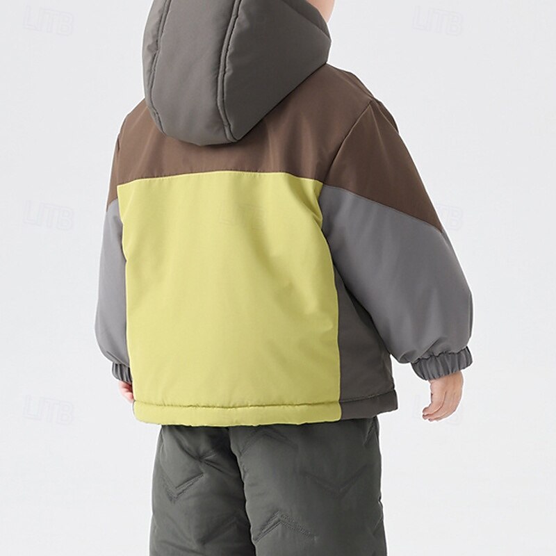 Kids Boys' Fleece Jacket Hiking Jacket Outdoor Jacket Outerwear Color Block Long Sleeve Zipper Pocket Comfort Waterproof Windproof Coat Outdoor Fashion Daily Dark Yellow Light Blue Spring Fall 43