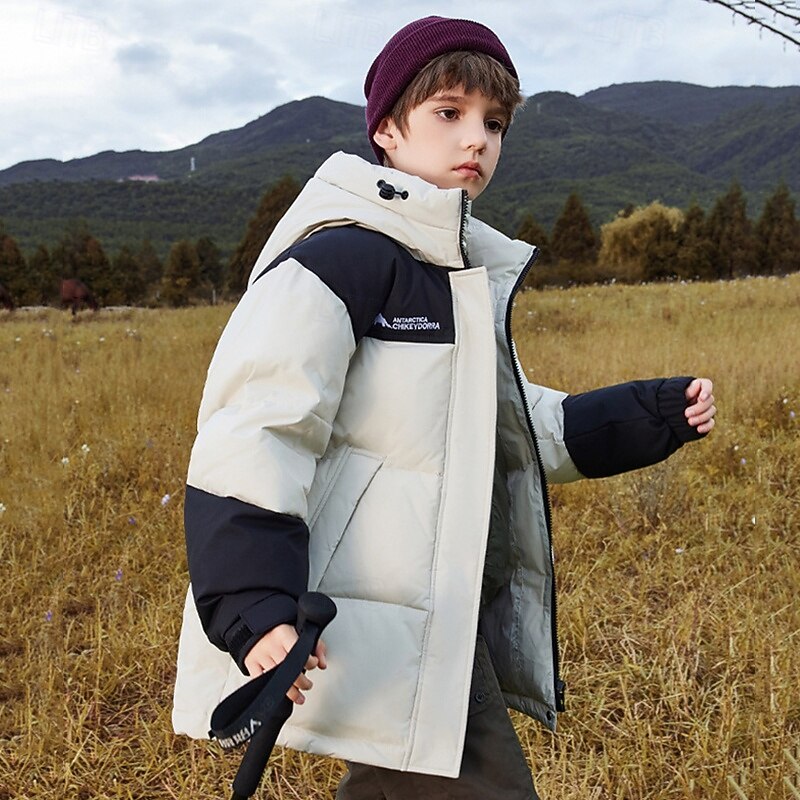 Kids Unisex Down Jacket Outdoor Jacket Puffer Jacket Outerwear Color Block Long Sleeve Waterproof Keep Warm Windproof Coat Outdoor Daily Basic Beige Fall Winter 4 years+2