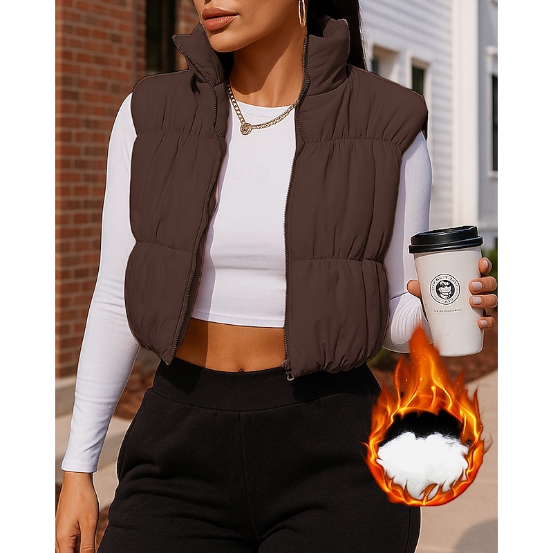 Women's Zip Up Jacket Polar Fleece Jacket with Pockets Sleeveless Top Athleisure Solid Colored Windproof Warm Hiking Travel Vacation Sportswear Activewear Black Pink Blue4