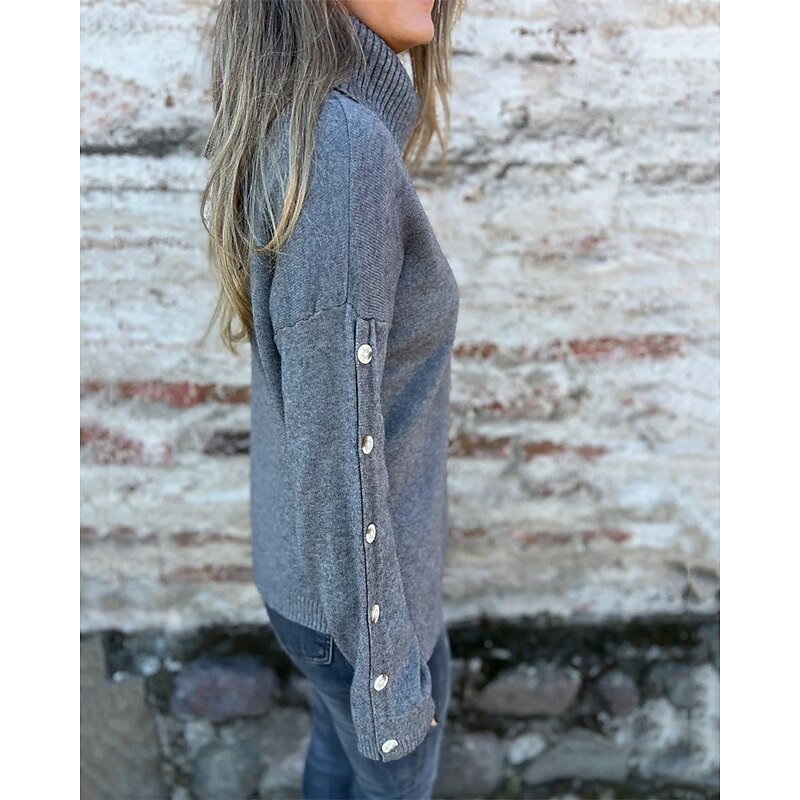 Women's Sweater Fashion Streetwear Casual Pure Color Ribbed Turtleneck Knitted Long Sleeve Regular Tops Knit Outdoor Daily Weekend Dark Gray Fall Winter3
