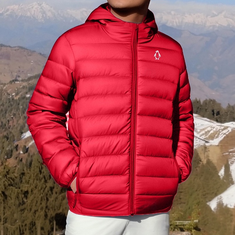 Men's Print Penguin Winter Coat Down Jacket Puffer Jacket Thermal Warm Rain Waterproof Lightweight Casual Outdoor Daily Padded Quilted Hooded Jacket Fall Winter Hooded Long Sleeve Black Red Royal Blue3