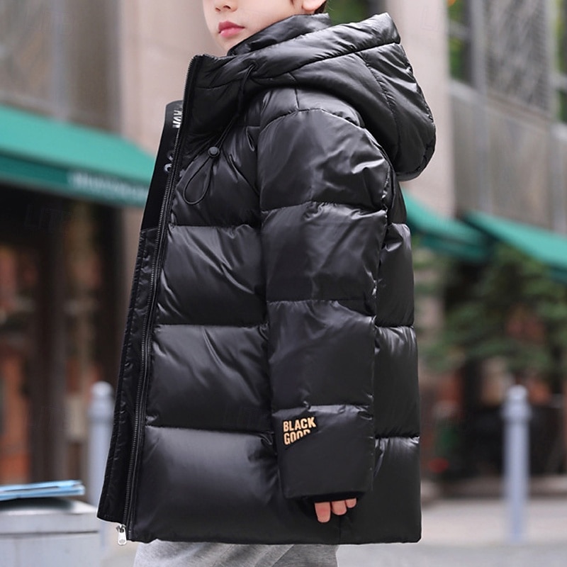 Kids Boys' Down Jacket Outdoor Jacket Hoodie Jacket Puffer Jacket Outerwear Solid Color Long Sleeve Pocket Keep Warm Windproof Coat Outdoor Daily Basic Black Fall Winter 4 years+