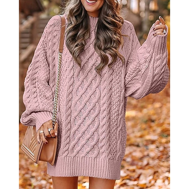 Women's Sweater Fashion Casual Pure Color Ribbed Crew Neck Knitted Long Sleeve Regular Tops Knit Outdoor Daily Weekend Hot Pink Pink Fall Winter3