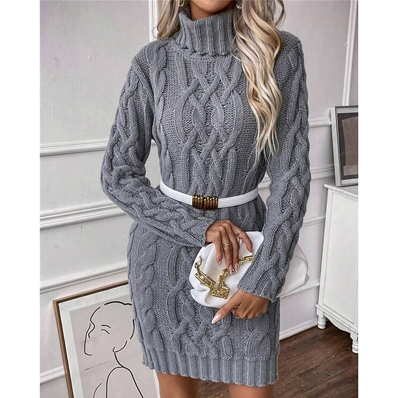 Women's Mini Dress Sweater Dress Knit Dress Casual Dress Elegant Fashion Modern Outdoor Daily Going out Regular Fit Plain Long Sleeve Turtleneck Grey Fall Winter4