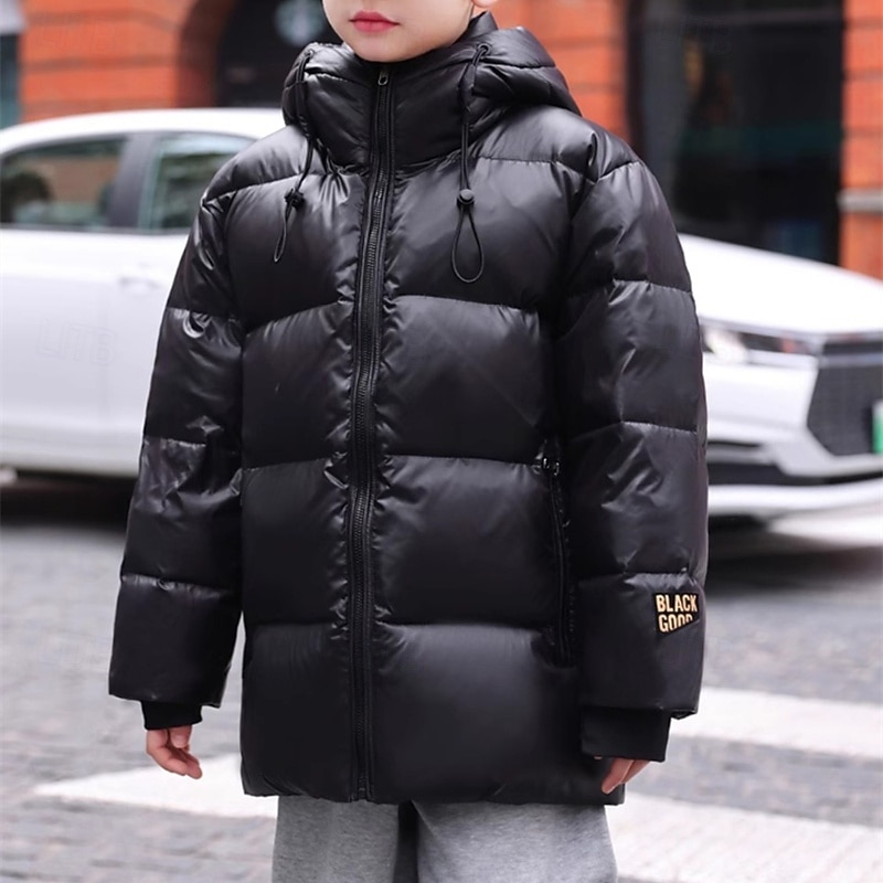 Kids Boys' Down Jacket Outdoor Jacket Hoodie Jacket Puffer Jacket Outerwear Solid Color Long Sleeve Pocket Keep Warm Windproof Coat Outdoor Daily Basic Black Fall Winter 4 years+2
