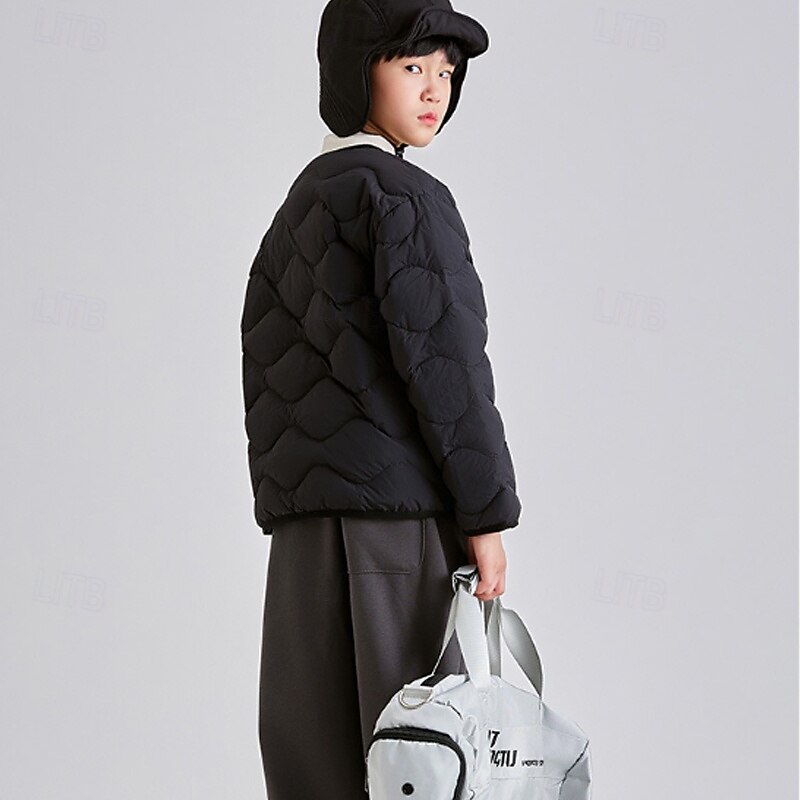 Kids Boys' Down Coat Puffer Jacket Outerwear Solid Color Long Sleeve Zipper Pocket Coat Outdoor Adorable Daily Black Pink Blue Winter 4 years+4