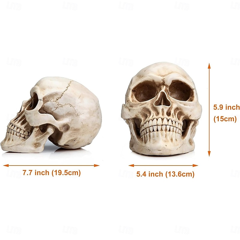 7.9In Life-Size Skull Halloween Party Decorations Human Head Model for Home Decoration Halloween Statue Adult Head Bone Model Party Table Centerpiece Home Decoration for Christmas Halloween De3